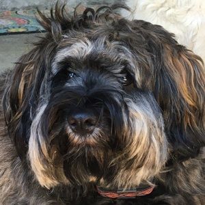 Meet your Posher, Max